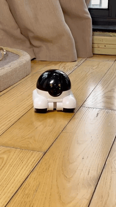 BuddyBot