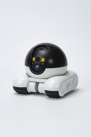 BuddyBot