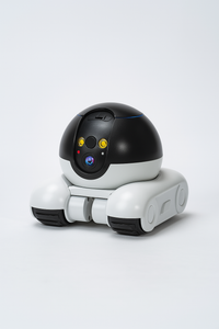 BuddyBot