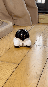 BuddyBot